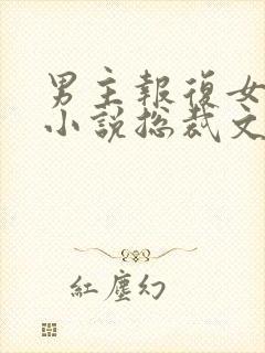 男主报复女主的小说总裁文