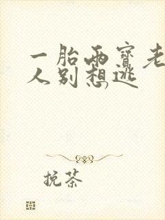 一胎两宝老婆大人别想逃