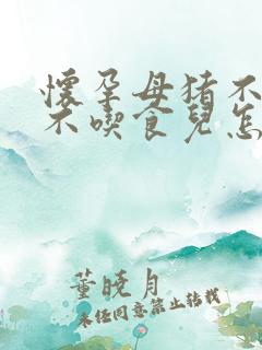 怀孕母猪不发烧不吃食儿怎么办