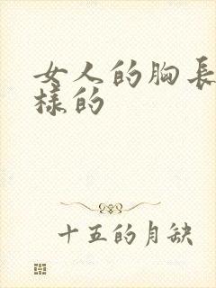 女人的胸长什么样的