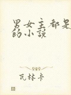 男女主都是律师的小说