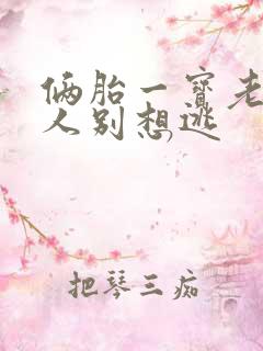 俩胎一宝老婆大人别想逃