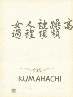 女人被躁高潮全过程视频