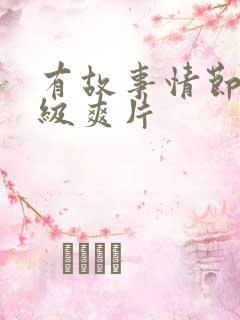 有故事情节的一级爽片