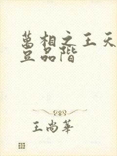 万相之王天蚕土豆品阶