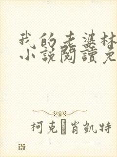 我的老婆林慧茹小说阅读免费