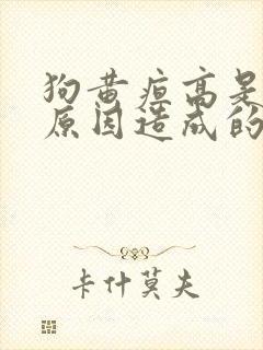 狗黄疸高是什么原因造成的