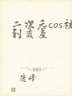 二次元cos被到爽羞