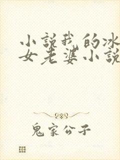 小说我的冰山美女老婆小说