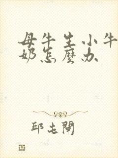 母牛生小牛没有奶怎么办