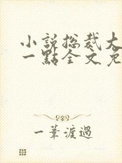 小说总裁大人轻一点全文免费阅读