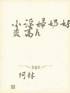 小淫妇奶好大好爽高h