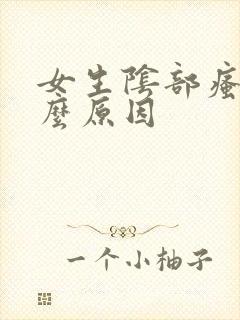 女生阴部瘙痒什么原因