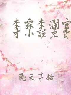 李霖李澜官场奇才小说免费阅读