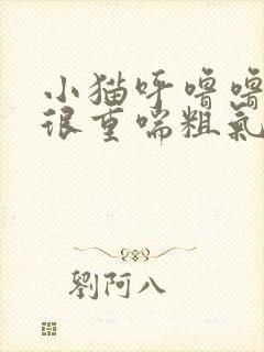 小猫呼噜噜声音很重喘粗气