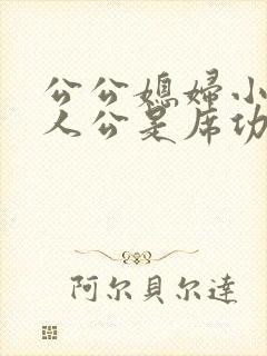 公公媳妇小说主人公是席功