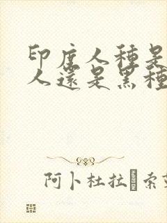 印度人种是白种人还是黑种人