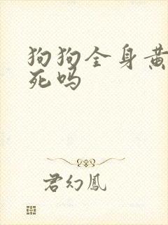 狗狗全身黄疸会死吗