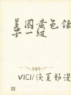 美国黄色录像片子一级