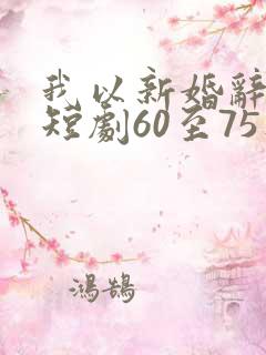 我以新婚辞旧情短剧60至75集
