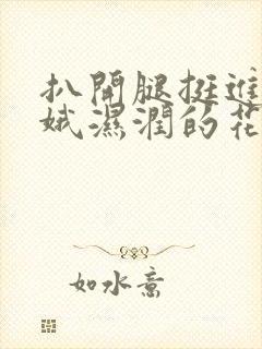 扒开腿挺进娄晓娥湿润的花苞小说