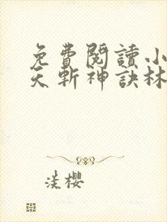 免费阅读小说九天斩神诀林辰