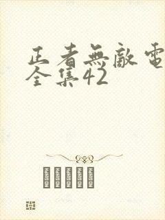 正者无敌电视剧全集42