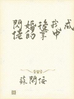 闪婚后我成了大佬的掌中