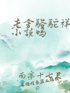 老舍骆驼祥子是小说吗