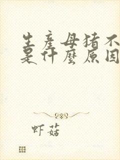 生产母猪不吃食是什么原因