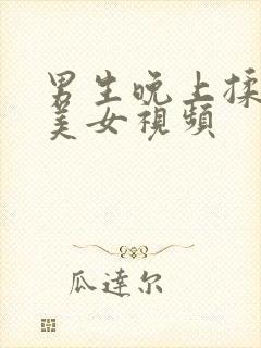 男生晚上揉着胸美女视频