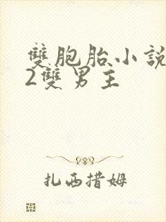 双胞胎小说1v2双男主