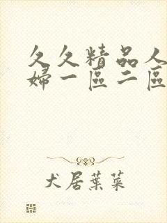 久久精品人妻少妇一区二区