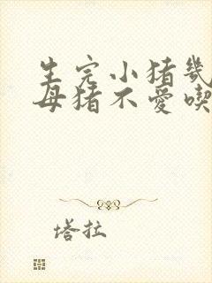 生完小猪几天的母猪不爱吃食怎么办