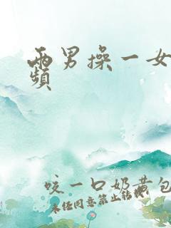 两男操一女逼视频