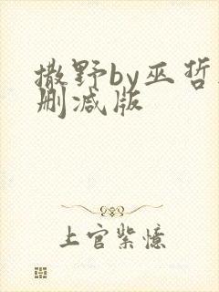 撒野by巫哲无删减版