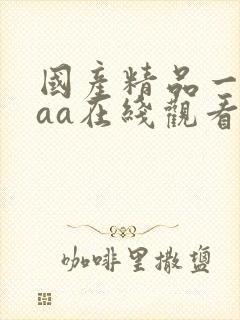 国产精品一级aaa在线观看