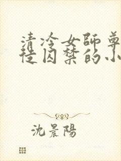 清冷女师尊被逆徒囚禁的小说