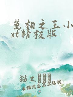 万相之王小说txt精校版