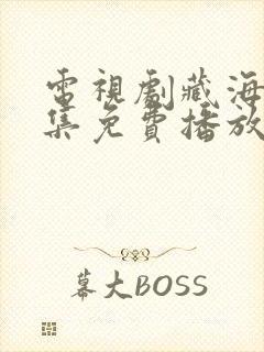 电视剧藏海传全集免费播放