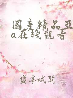 国产精品亚洲va在线观看