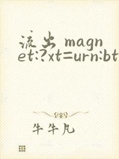 流出 magnet:?xt=urn:btih: