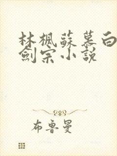 林枫苏慕白神霄剑宗小说