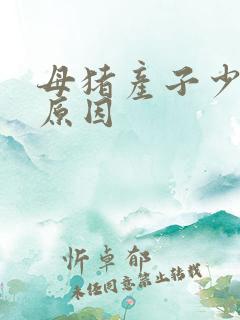 母猪产子少什么原因