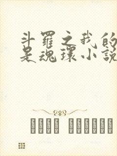 斗罗之我的武魂是魂环小说