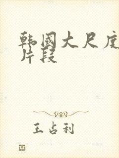 韩国大尺度床戏片段