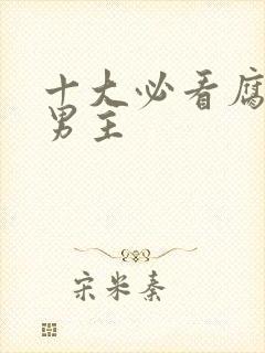 十大必看腐剧双男主