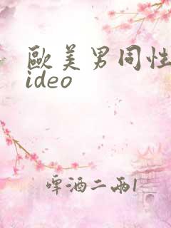 欧美男同性恋video