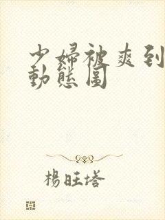 少妇被爽到高潮动态图