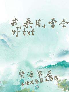 我乘风雪全文番外txt